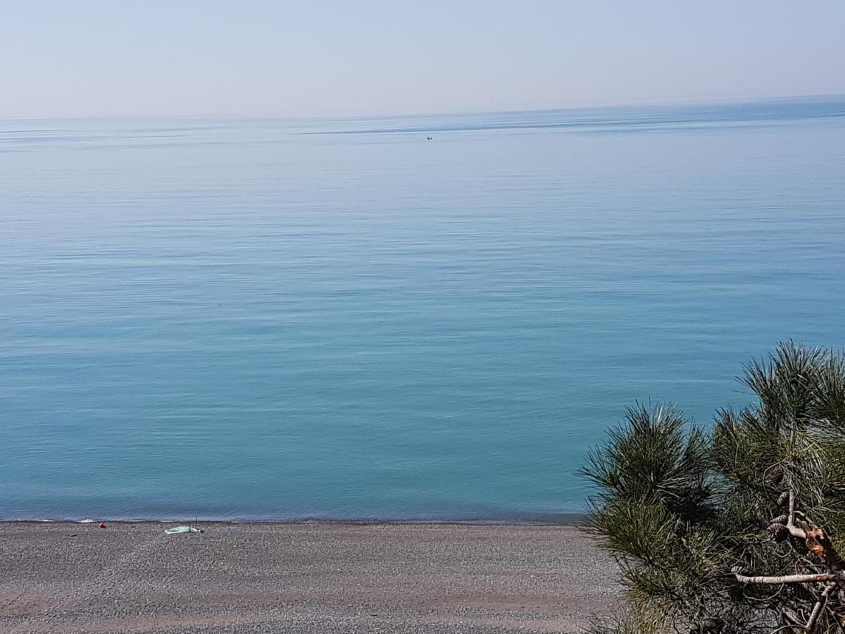 Midia Guest House Кобулети Екстериор снимка